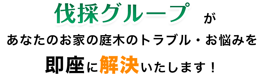 伐採グループがあなたのお家の庭木のトラブル・お悩みを 即座に解決いたします！