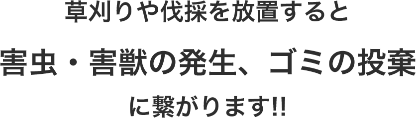 草刈りや伐採を放置すると 害虫・害獣の発生、ゴミの投棄 に繋がります!!